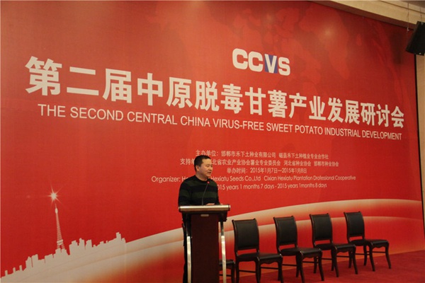 “都市農業(yè)中甘薯發(fā)展趨勢”專(zhuān)題報告