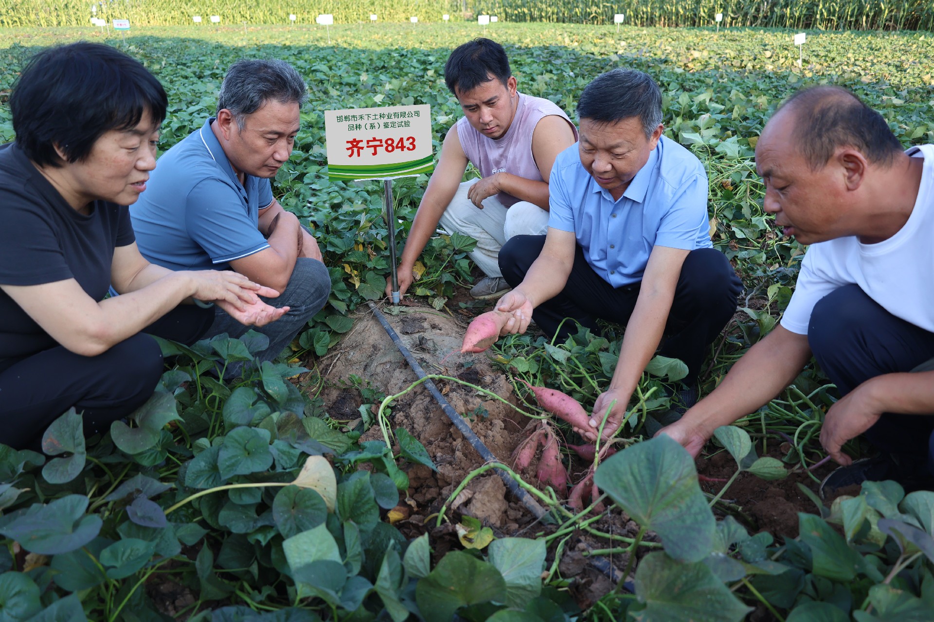 1725005189868178.jpg 9028dc821bfed9a3acb117e1fc0109b.jpg