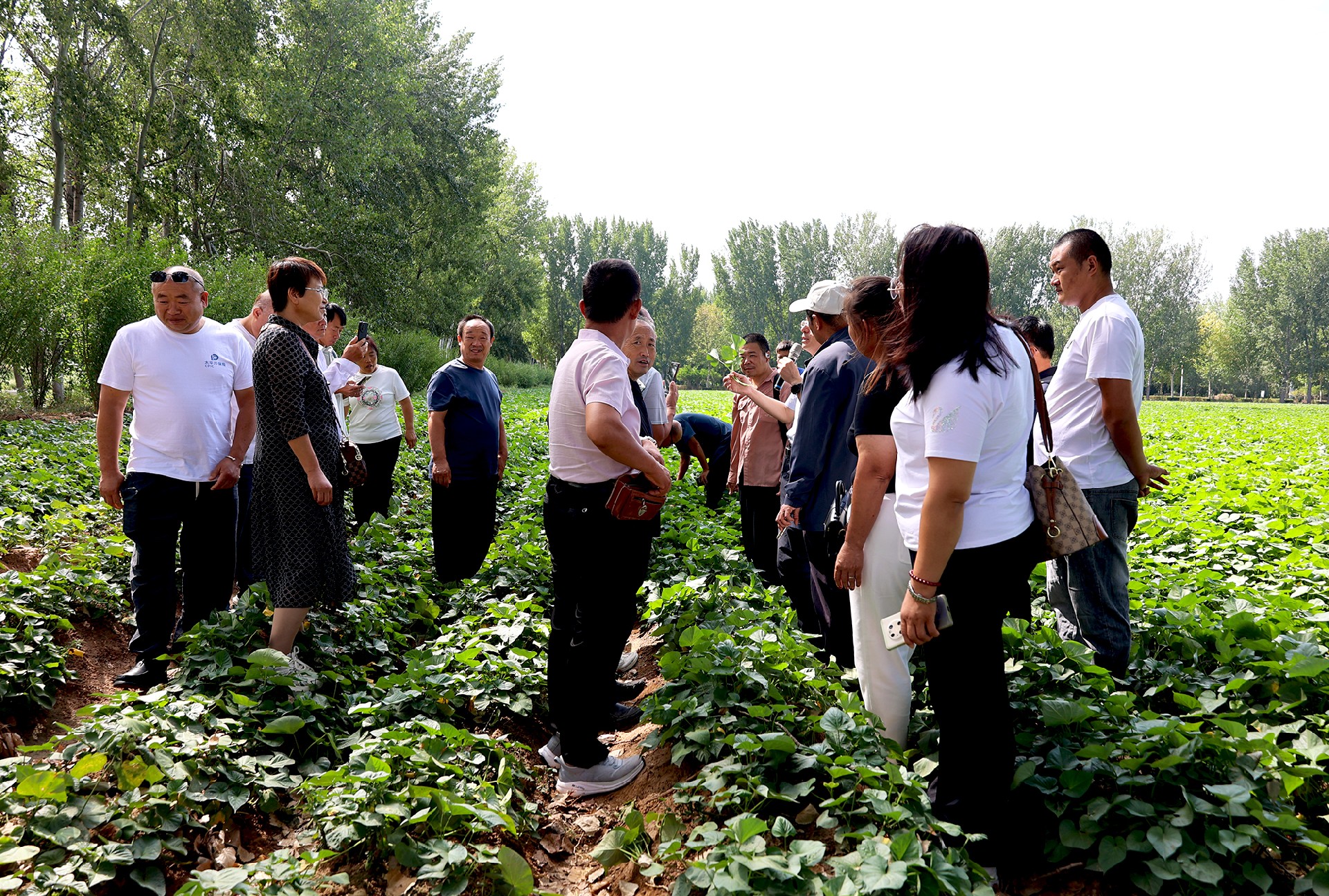 1726104752904731.jpg 5T8A6670.JPG