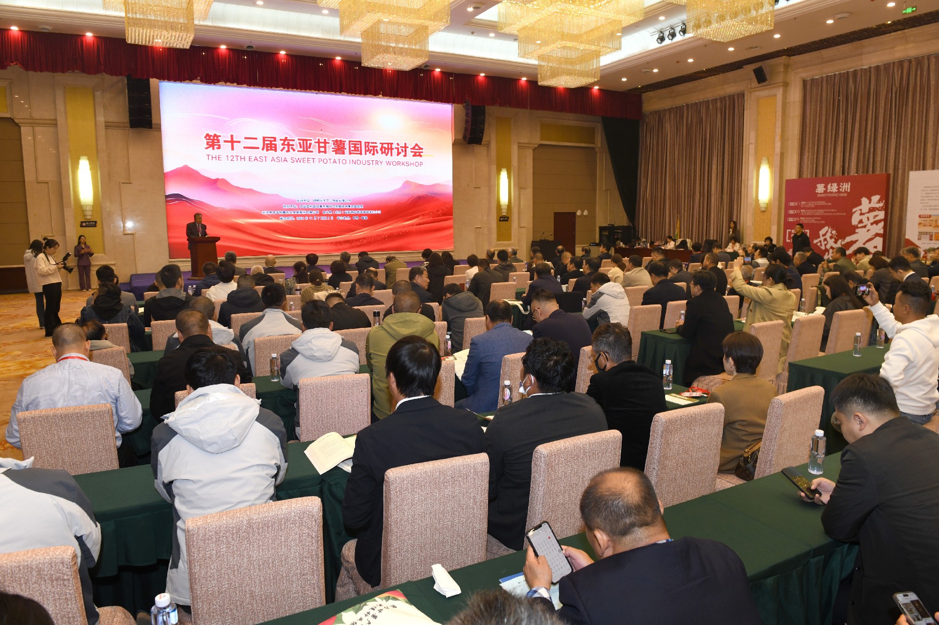 1731659448296736.jpg DSC_2239(1).jpg